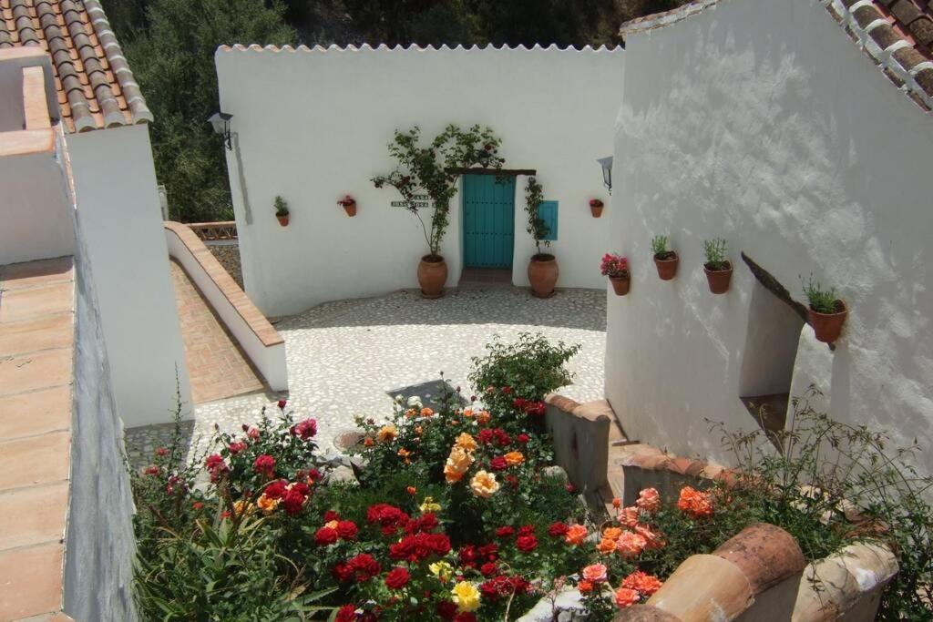Casa Rosa, Con Encanto Y Piscina Climatizada 프리질리아나 외부 사진