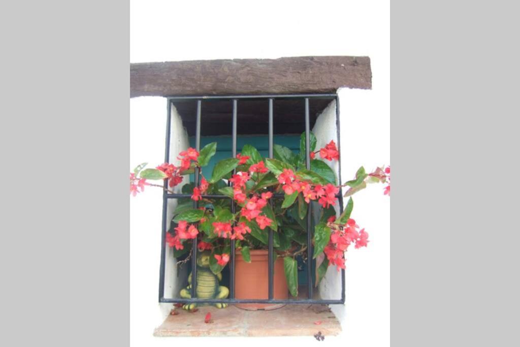 Casa Rosa, Con Encanto Y Piscina Climatizada 프리질리아나 외부 사진